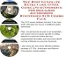Book The Best Generate Extra Cash, Inner Game and eCommerce for Billiards Accessories Businesses 3 CD Combo Pack