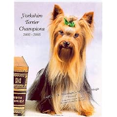 Yorksire Terrier Champions, 2002-2005