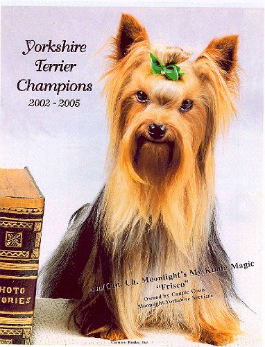 Cover image : Yorksire Terrier Champions, 2002-2005