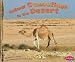 Animal Camouflage in the Desert (Pebble Plus)