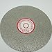 Grit 100 Diamond Coated 6