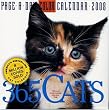 365 Cats Page-A-Day Desk Calendar 2008