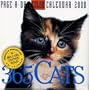365 Cats Page-A-Day Desk Calendar 2008