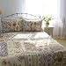 Shabby Chic VintageGarden Patchwork 3pc Queen Quilt set