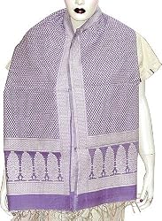 Girls Scarf Purple Women Dress Clothes From India 22 x 70 inches