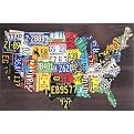 USA Map II Canvas Wall Art - 35x23"