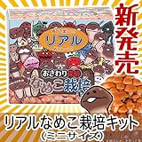 おさわり探偵 リアルなめこ栽培キットミニ