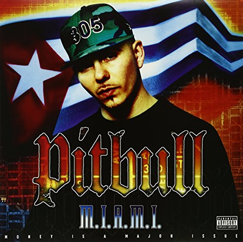 Pitbull - Dammit Man (Feat. Piccallo) Lyrics - Zortam Music