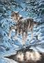 Dimensions PaintWorks/Paint By Number, Wintry Wolves
