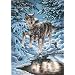 Dimensions PaintWorks/Paint By Number, Wintry Wolves