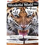 Wonderful World, Vol. 1