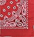Military Army Trainmen Paisley Bandanas (Red - 22