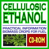 Cellulosic Ethanol - Biomass to Biofuels, Wood Chips, Stalks, Switchgrass, Plant Products, Feedstocks, Cellulose Conversion Processes, Research Plans (CD-ROM)