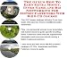 Book The Guru's How To Earn Extra Money, Inner Game and Biz Networking for Metric Fasteners Web Biz 3 CD Course
