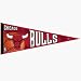 Basketball Pennants: NBA Chicago Bulls Pennant