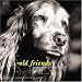 Old Friends: Great Dogs on the Good Life