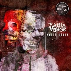 Noise Diary