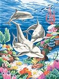 Dimensions Needlecrafts Paintworks/Pencil by Number, Dolphins In The Sea