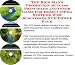 The Rich Man's Promotion, Success Principles and Inner Game for Home Cinema Systems Web Businesses 3 CD Power Pack