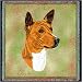 Basenji Lap Square - 53 x 53 Blanket/Throw