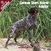 2009 German ShortHair Pointer Wall Calendar