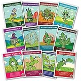 100% CERTIFIED ORGANIC NON-GMO Culinary Herb Set - 12 popular Easy-to-Grow Herb Seeds by Zziggysgal