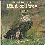 Bird of prey
