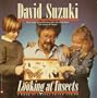 Looking at Insects