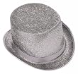 Silver Top Hat - Adult Std.