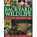 Backyard Wildlife: How to attract bees, butterflies, insects, birds, frogs and animals into your garden