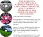 The Guerilla Marketing, Building Effective Lead Capture Web Pages, Affiliate Marketing for Skipping Ropes Businesses