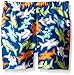 Flap Happy Baby Boys' Upf 50+ Graphic Rash Guard and Infant Swim Diaper Trunk Set