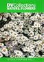 DV Collections: Nature: Flowers