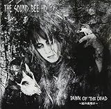 DAWN OF THE DEAD ~屍の夜明け~