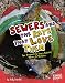 Sewers and the Rats That Love Them: The Disgusting Story Behind Where It All Goes (Edge Books)