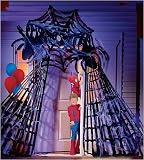 Spider Web Entrance
