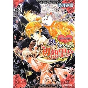 �_�u���E�R���g���N�g �z�����̂鏉�M�]!? (�r�[�Y���O����)