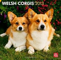 Welsh Corgis 2013 Square 12X12 Wall Calendar (Multilingual Edition) Welsh Corgis 2013 Square 12X12 Wall Calendar (Multilingual Edition)