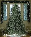6.5' Downswept Hunter Fir Pre-Lit Artificial Christmas Tree - Clear Lights