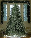 6.5' Downswept Hunter Fir Pre-Lit Artificial Christmas Tree - Clear Lights