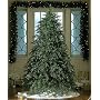 6.5' Downswept Hunter Fir Pre-Lit Artificial Christmas Tree - Clear Lights