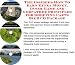 The Insider's How To Earn Extra Money, Inner Game and Godfather Principles for Shopping Carts Biz 3 CD Package