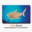 Shark 3D Woodcraft Construction Kit