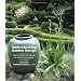 Understanding Garden Design: The Complete Handbook for Aspiring Designers