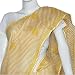 Indian Designer Sari Cotton Chikan Embroidery Yellow and Offwhite Stripes (chsari106)