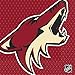 Amscan Phoenix Coyotes Luncheon Napkins NHL Hockey Sports Party Tableware, Paper, 6.5