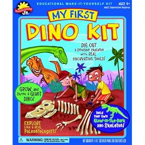 dinosaur kit