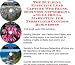 The Guerilla Marketing, Building Effective Lead Capture Web Pages, Business Networkin...