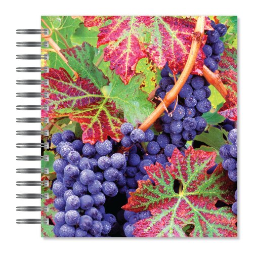 ECOeverywhere Cabernet Sauvignon Picture Photo Album, 18 Pages, Holds 72 Photos, 7.75 x 8.75 Inches, Multicolored (PA12133) On Sale