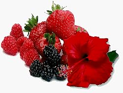 berry hibiscus tea